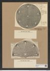 Aulacodiscus margaritaceus var. robustus Witt. (de-Toni-Nr.: Genus 182, Species 4515) Zeichnungen Sammlung Grunow Nr. 8099 (NHMW-BOT-W0377437)